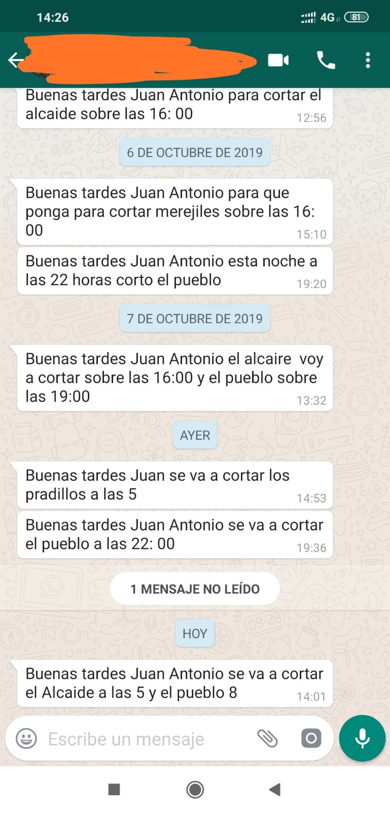 molestia de horario de la liga de caballos