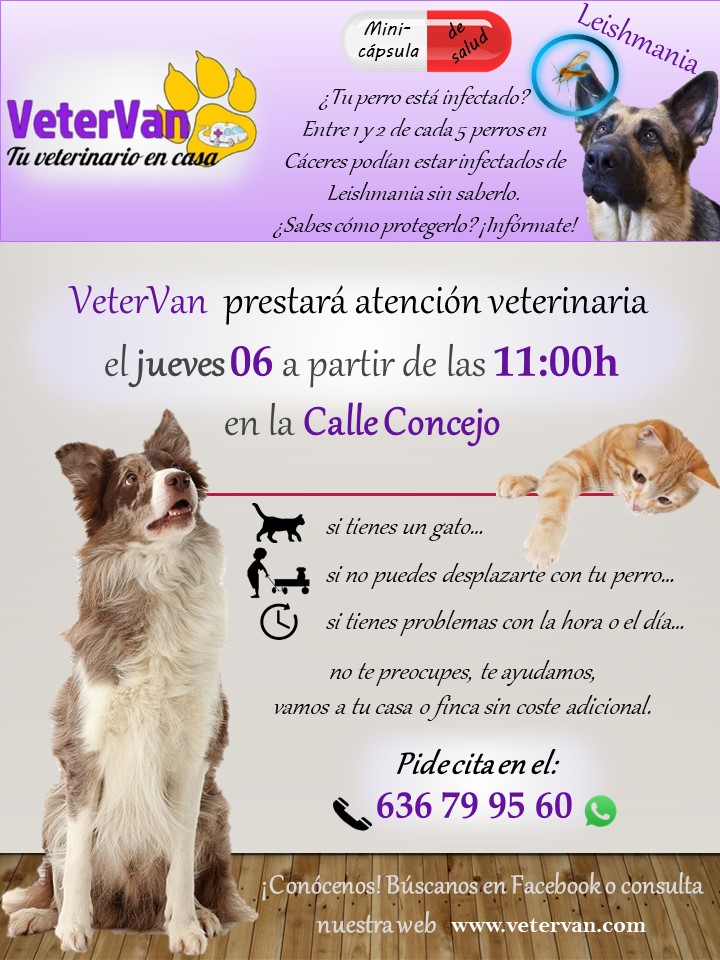 imágenes de perro de próstata ampliada imágenes de perro de próstata ampliada