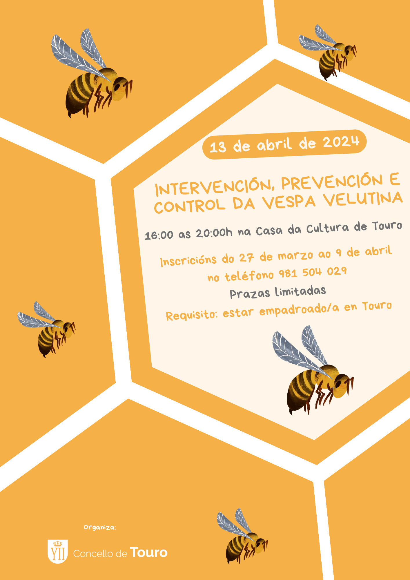Charla sobre intervención, prevención e control da vespa velutina
