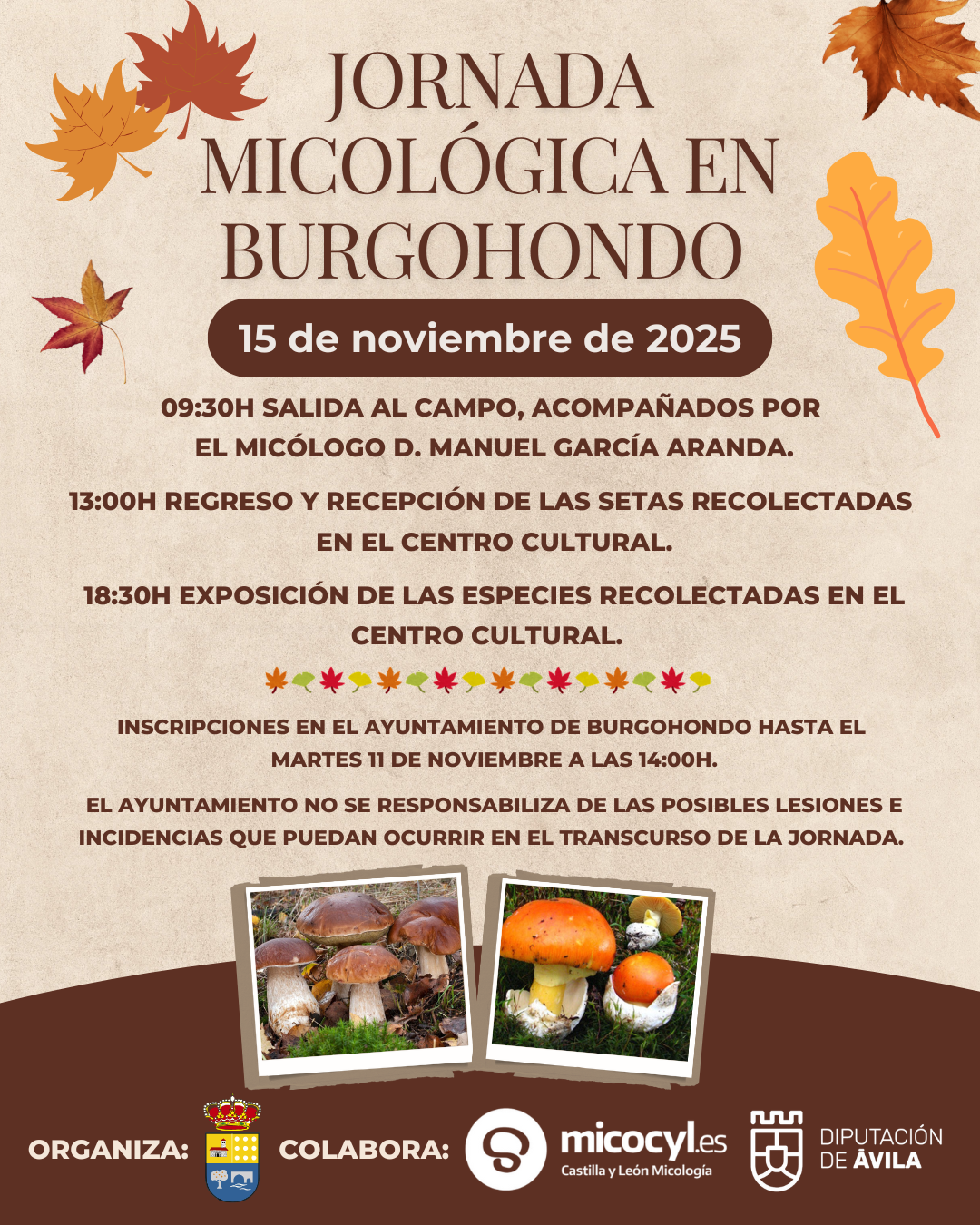 Burgohondo Informa - Servicio de comunicación vía web proporcionado por  Bandomovil