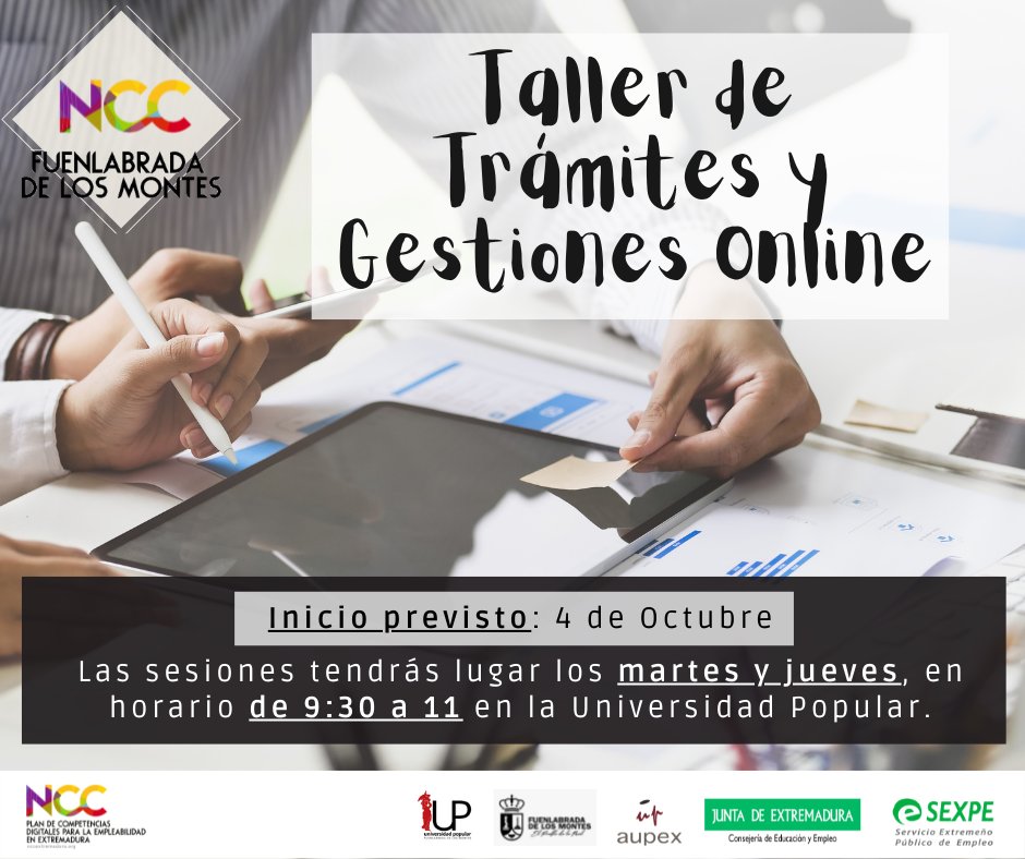 PORTAL DE TR MITES Y SERVICIOS DEL SAT visual data 6