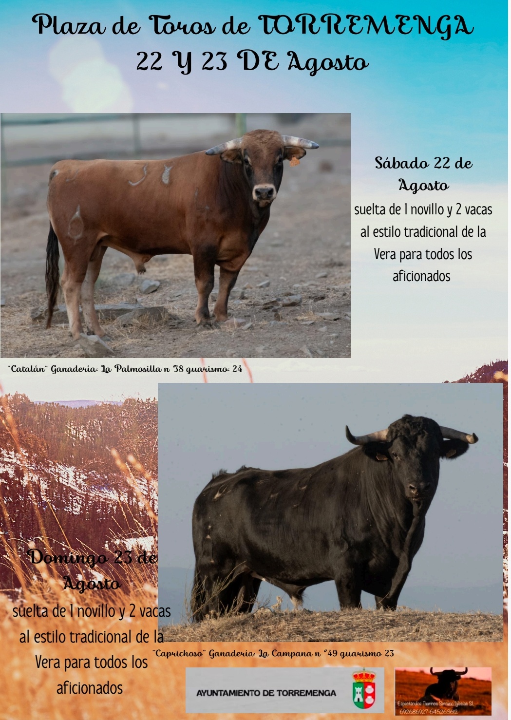 FESTEJOS TAURINOS
