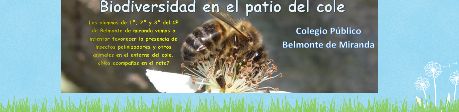 Imagen de evento