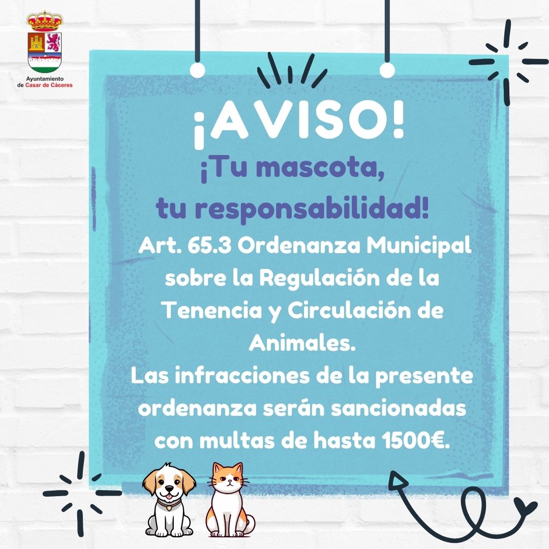 JMA, lo primero que ves al abrir tu casa o tu coche: así son los reyes de  las llaves